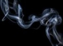Kwikfynd Drain Smoke Testing
malmoe